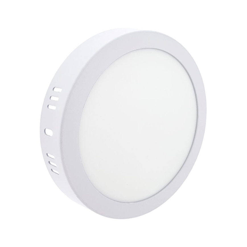 LED Plafonjera LED/12W/230V 4200K pr. 16 cm bela
