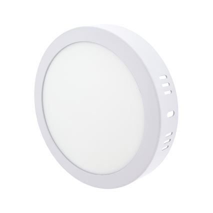 LED Plafonjera LED/12W/230V 4200K pr. 16 cm bela