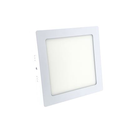 LED Plafonjera LED/12W/230V 6500K