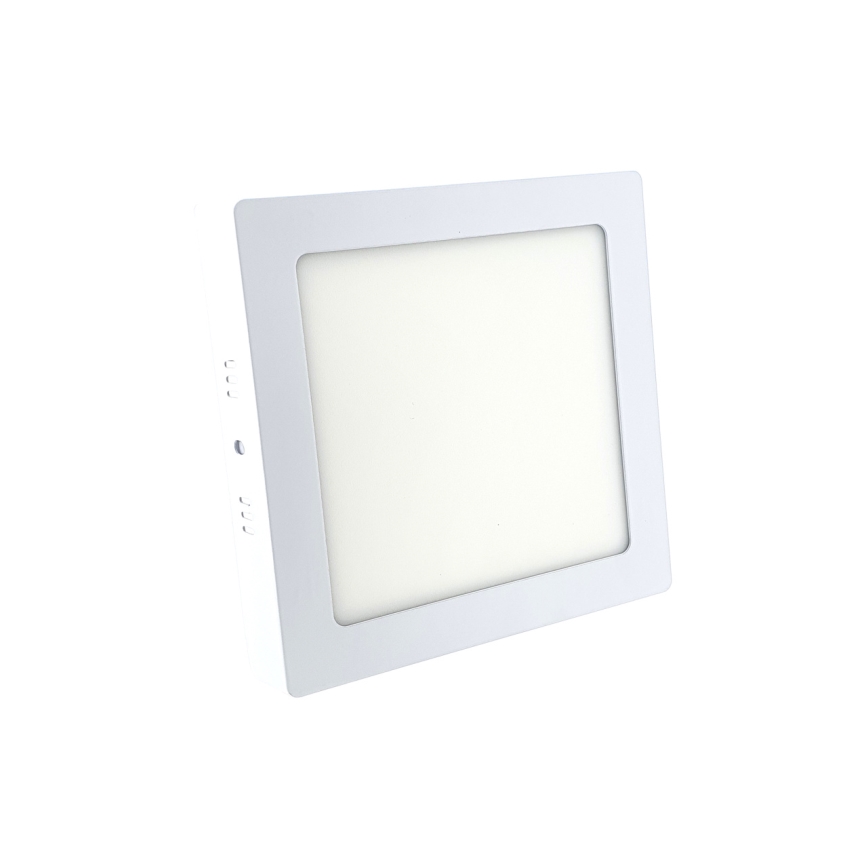 LED Plafonjera LED/12W/230V 6500K