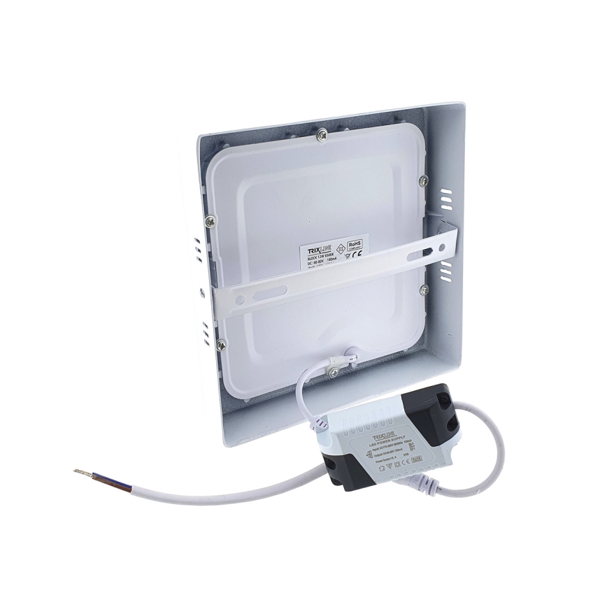 LED Plafonjera LED/12W/230V 6500K