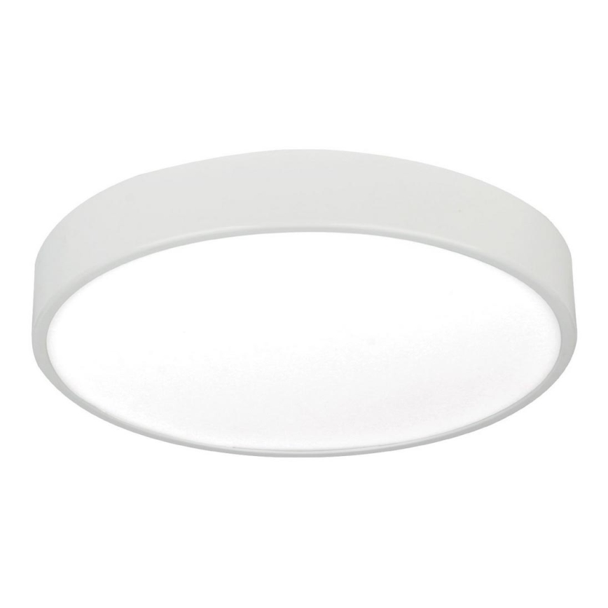 LED Plafonjera LED/12W/230V