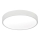 LED Plafonjera LED/12W/230V
