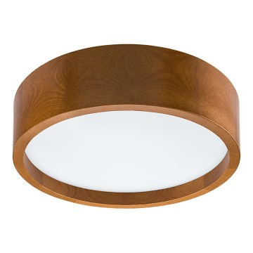 LED Plafonjera LED/12W/230V