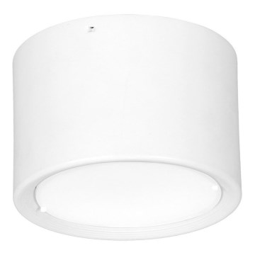 LED Plafonjera LED/16W/230V bela pr. 12 cm