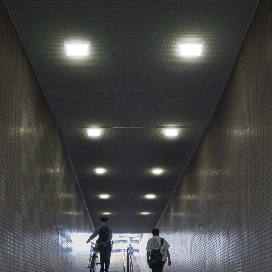 LED Plafonjera LED/18W/230V 3000K 21,4x21,4 cm bela