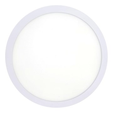 LED Plafonjera LED/18W/230V 4200K pr. 21 cm bela