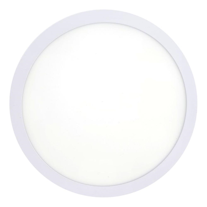 LED Plafonjera LED/18W/230V 4200K pr. 21 cm bela