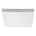 LED Plafonjera LED/18W/230V 6500K 21,4x21,4 cm bela