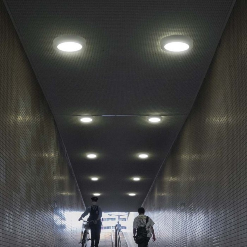 LED Plafonjera LED/18W/230V 6500K pr. 21,6 cm