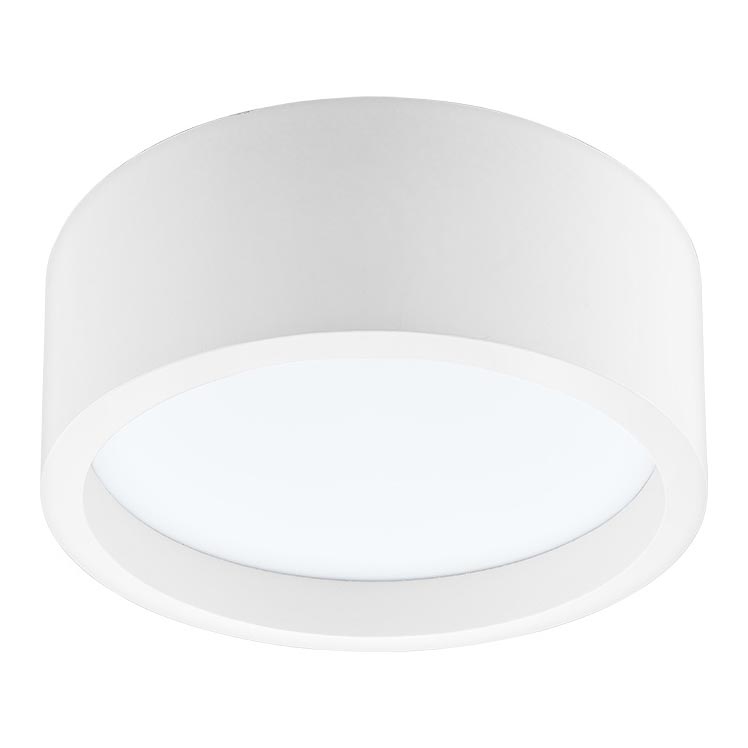 LED Plafonjera LED/21W/230V bor