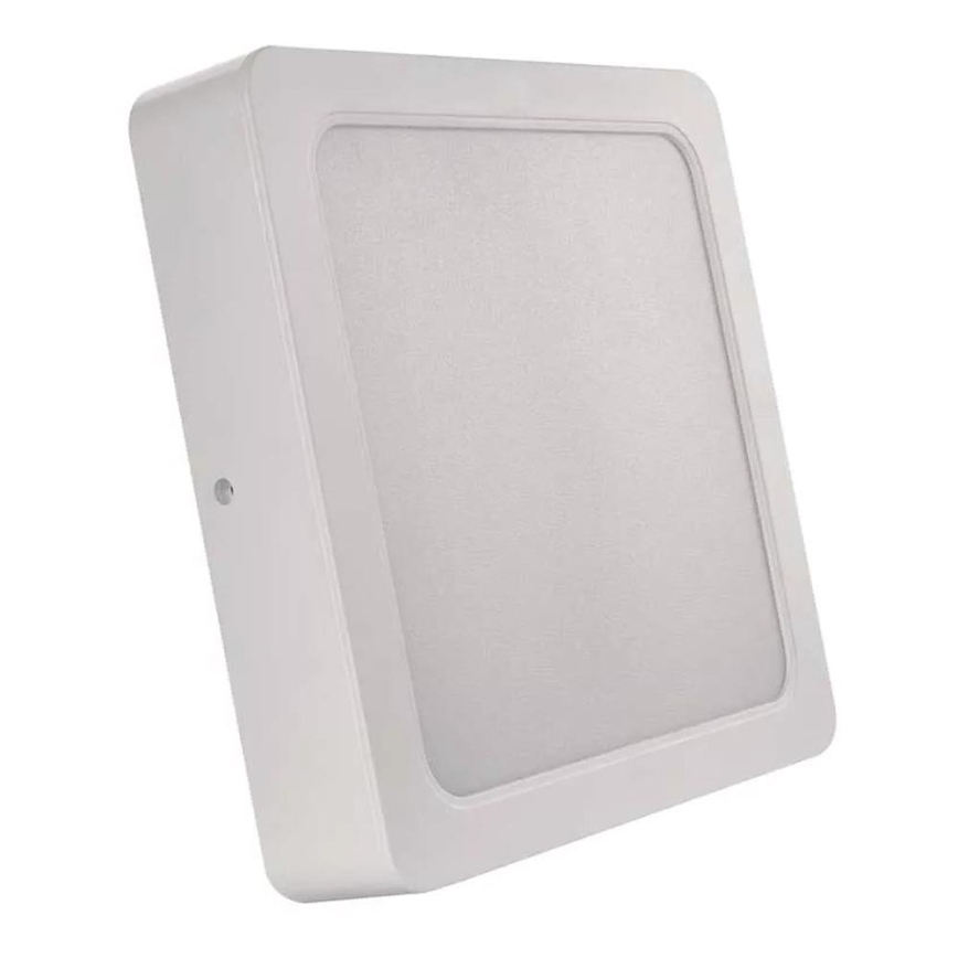 LED Plafonjera LED/24W/230V 22x22 cm bela