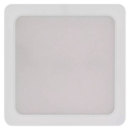 LED Plafonjera LED/24W/230V 22x22 cm bela