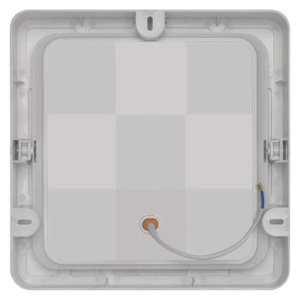 LED Plafonjera LED/24W/230V 22x22 cm bela