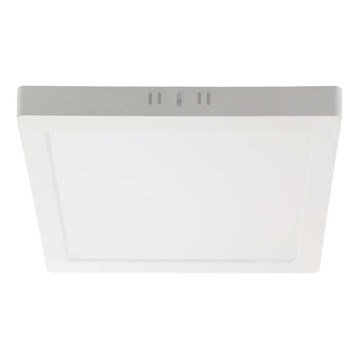 LED Plafonjera LED/24W/230V 3000K 28,7x28,7 cm bela