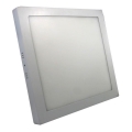 LED Plafonjera LED/24W/230V 3000K