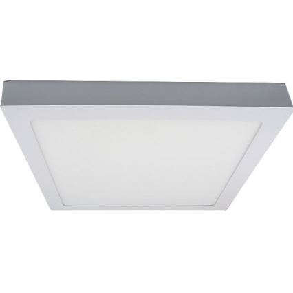LED Plafonjera LED/24W/230V 3000K