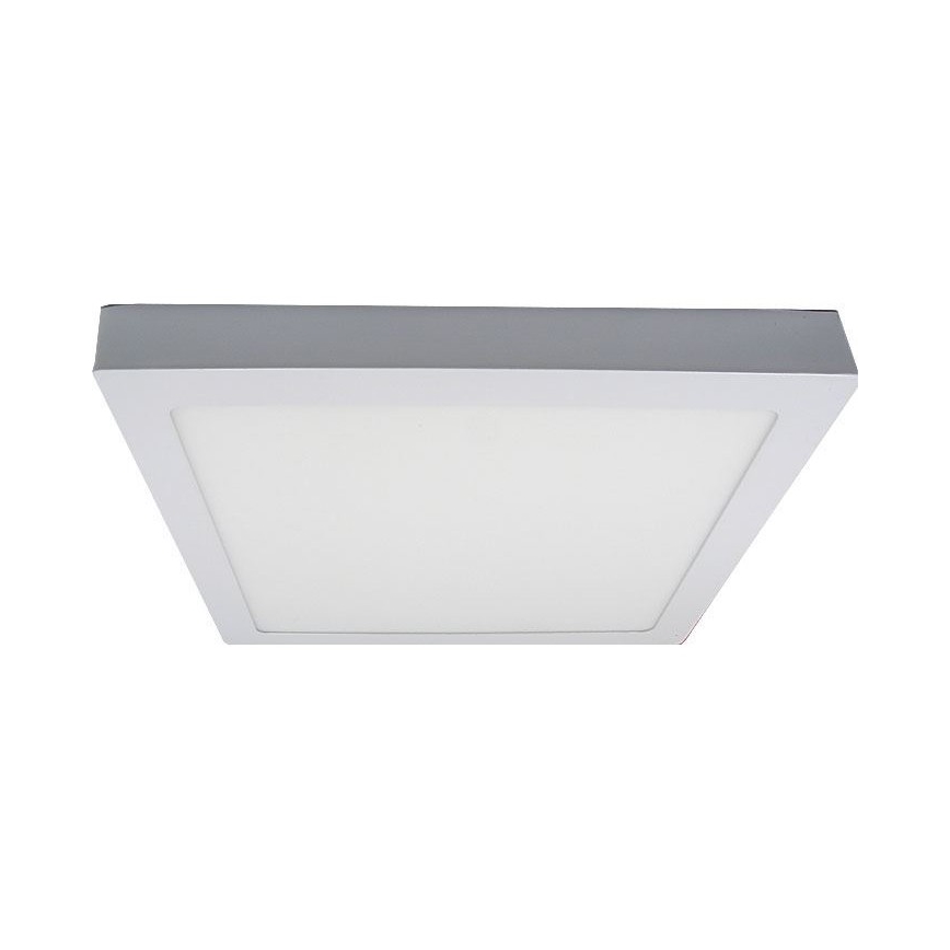 LED Plafonjera LED/24W/230V 3000K