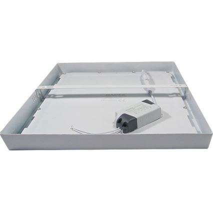 LED Plafonjera LED/24W/230V 3000K