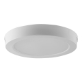 LED Plafonjera LED/24W/230V 3000K