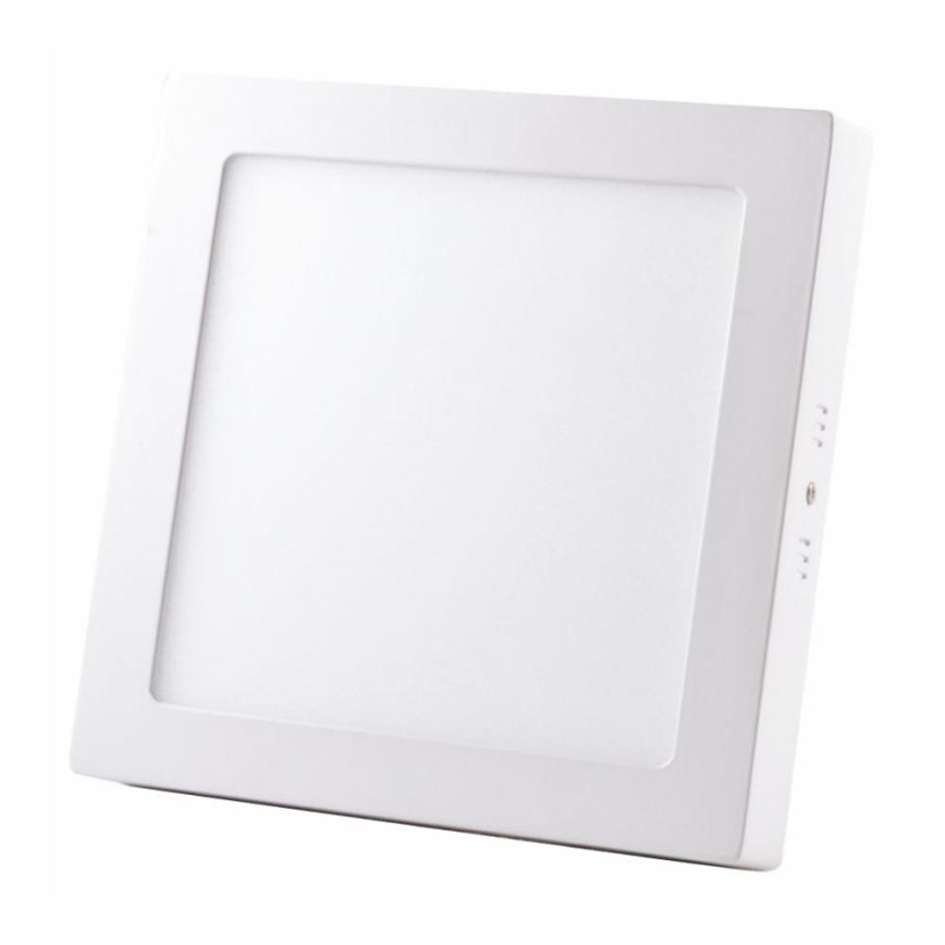LED Plafonjera LED/24W/230V 4000K