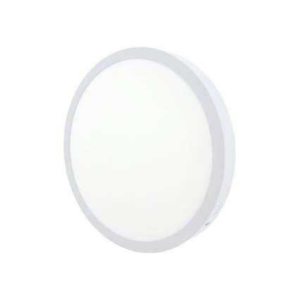 LED Plafonjera LED/24W/230V 4200K pr. 28,5 cm bela