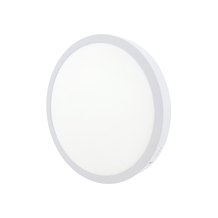 LED Plafonjera LED/24W/230V 4200K pr. 28,5 cm bela