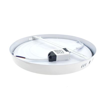 LED Plafonjera LED/24W/230V 4200K pr. 28,5 cm bela