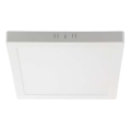 LED Plafonjera LED/24W/230V 6500K 28,7x28,7 cm bela