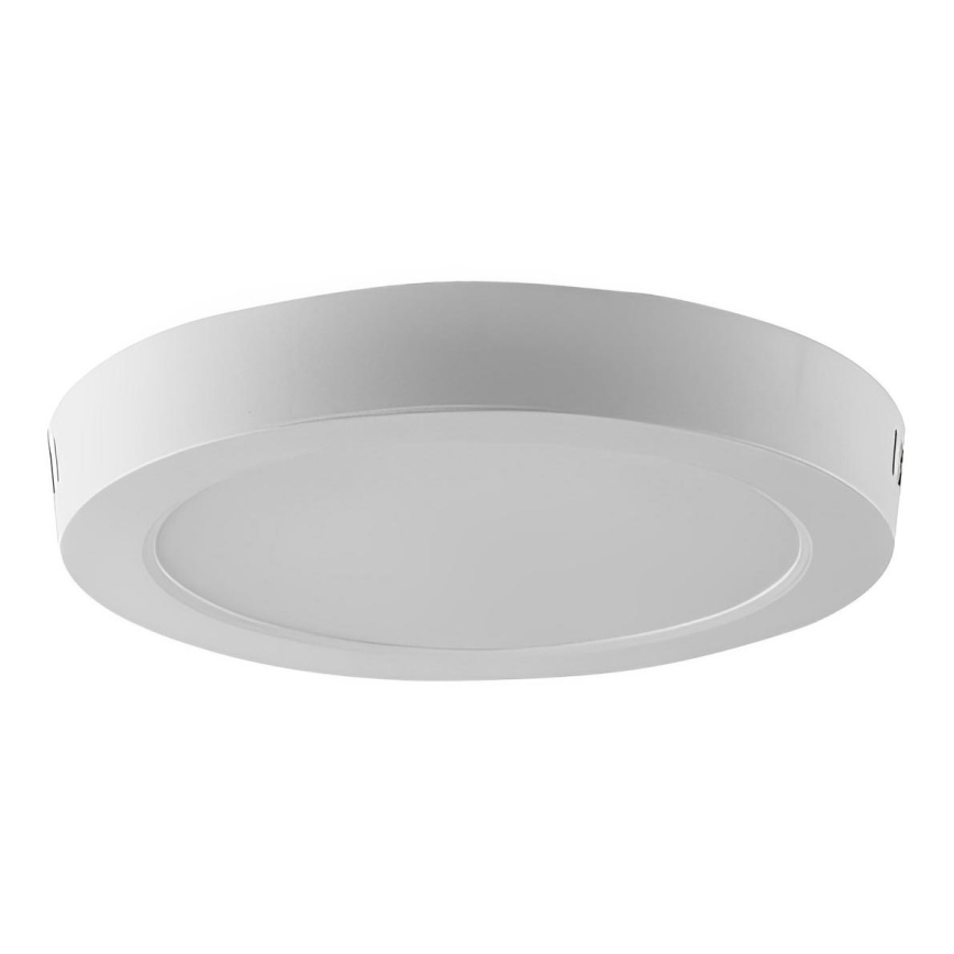 LED Plafonjera LED/24W/230V 6500K pr. 28,8 cm
