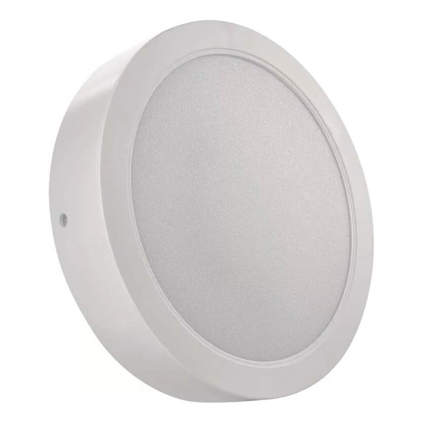 LED Plafonjera LED/24W/230V pr. 22 cm bela