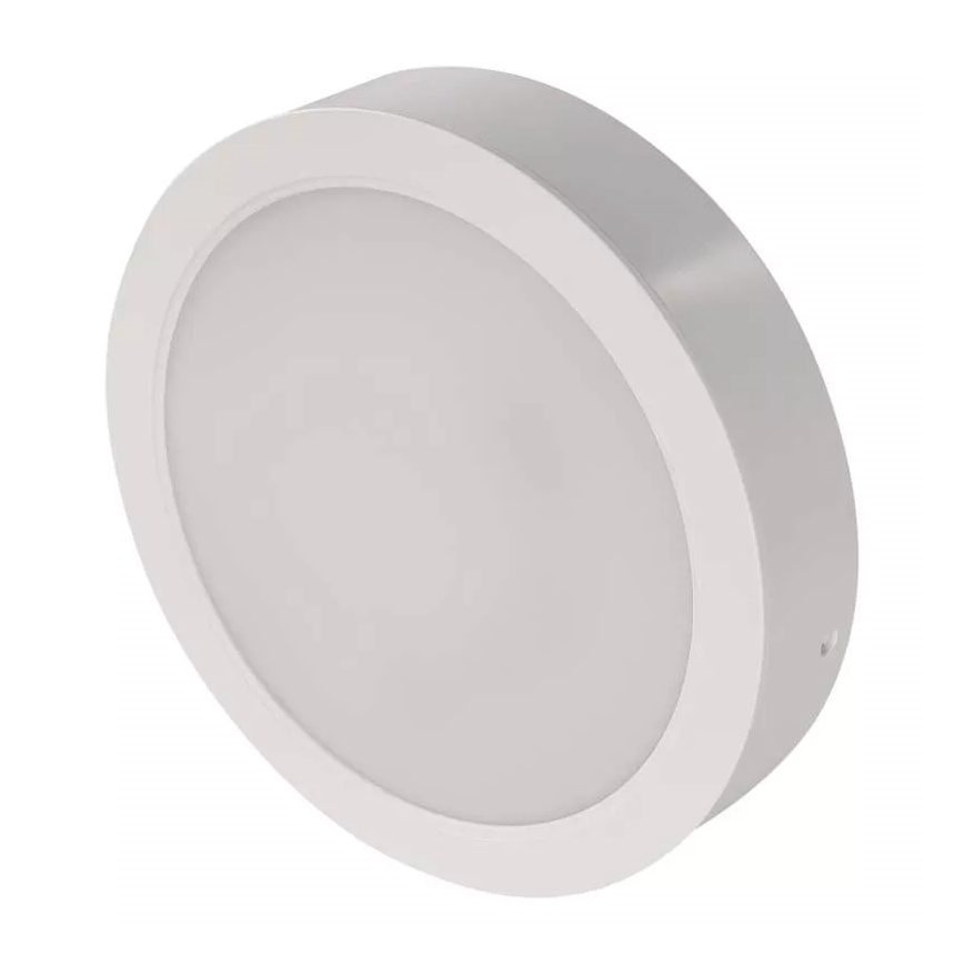 LED Plafonjera LED/24W/230V pr. 22 cm bela