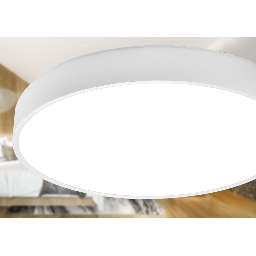 LED Plafonjera LED/30W/230V 4000K pr. 30 cm bela