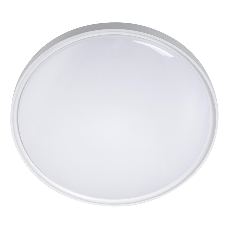 LED Plafonjera LED/36W/230V pr. 40 cm bela