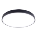 LED Plafonjera LED/60W/230V 4000K pr. 60 cm crno