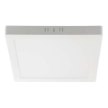 LED Plafonjera LED/6W/230V 3000K 12x12 cm bela