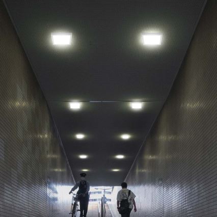 LED Plafonjera LED/6W/230V 3000K 12x12 cm bela