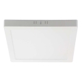 LED Plafonjera LED/6W/230V 4000K 12x12 cm bela