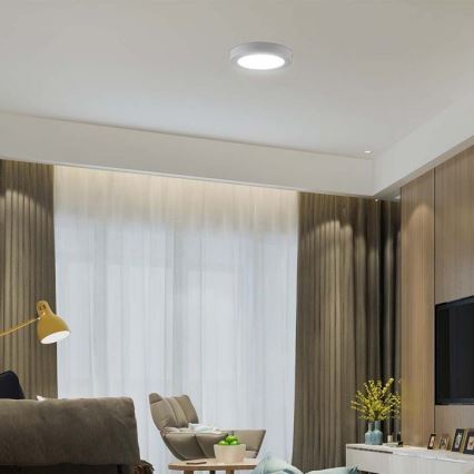 LED Plafonjera LED/6W/230V 6500K bela