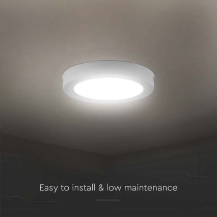 LED Plafonjera LED/6W/230V 6500K bela