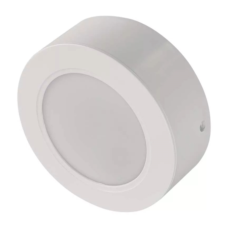 LED Plafonjera LED/9W/230V pr. 12 cm bela