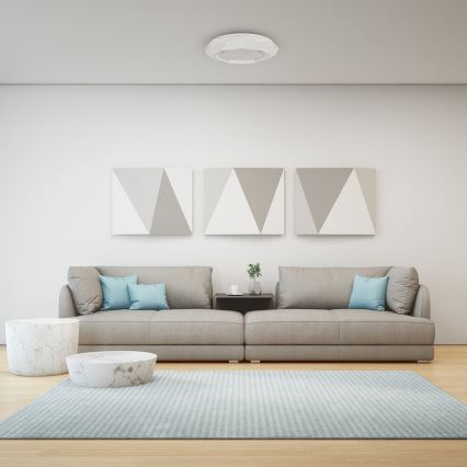 LED Plafonjera LULU LED/40W/230V