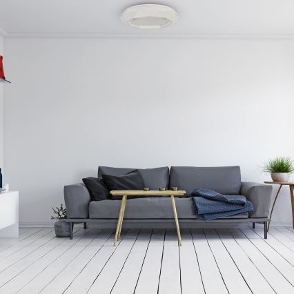 LED Plafonjera LULU LED/40W/230V