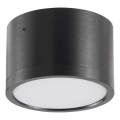 LED Plafonjera MIRELLA 1xGX53/6W/230V crno