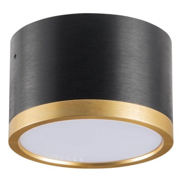 LED Plafonjera MIRELLA 1xGX53/6W/230V crno/zlatna