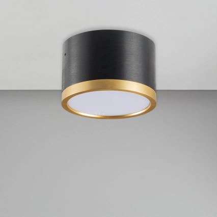 LED Plafonjera MIRELLA 1xGX53/6W/230V crno/zlatna