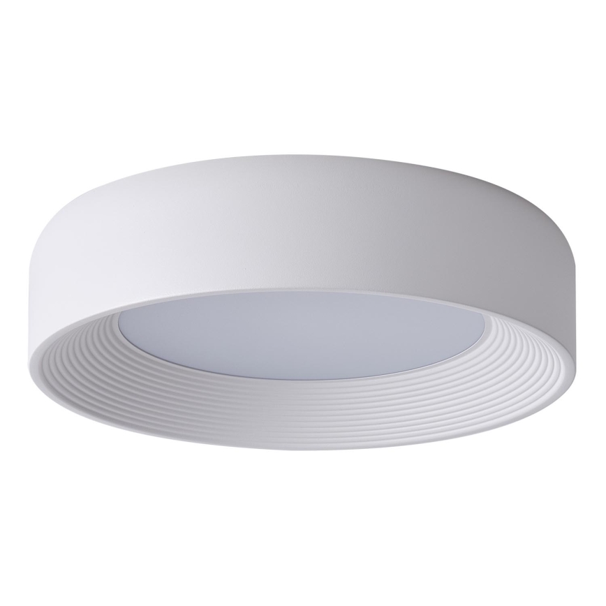 LED Plafonjera MOONLIGHT LED/30W/230V 3000K bela pr. 40 cm