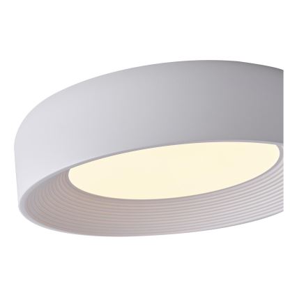 LED Plafonjera MOONLIGHT LED/30W/230V 3000K bela pr. 40 cm