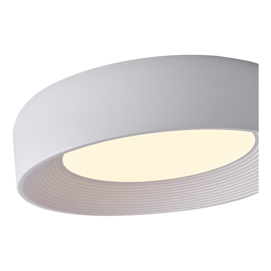 LED Plafonjera MOONLIGHT LED/30W/230V 3000K bela pr. 40 cm