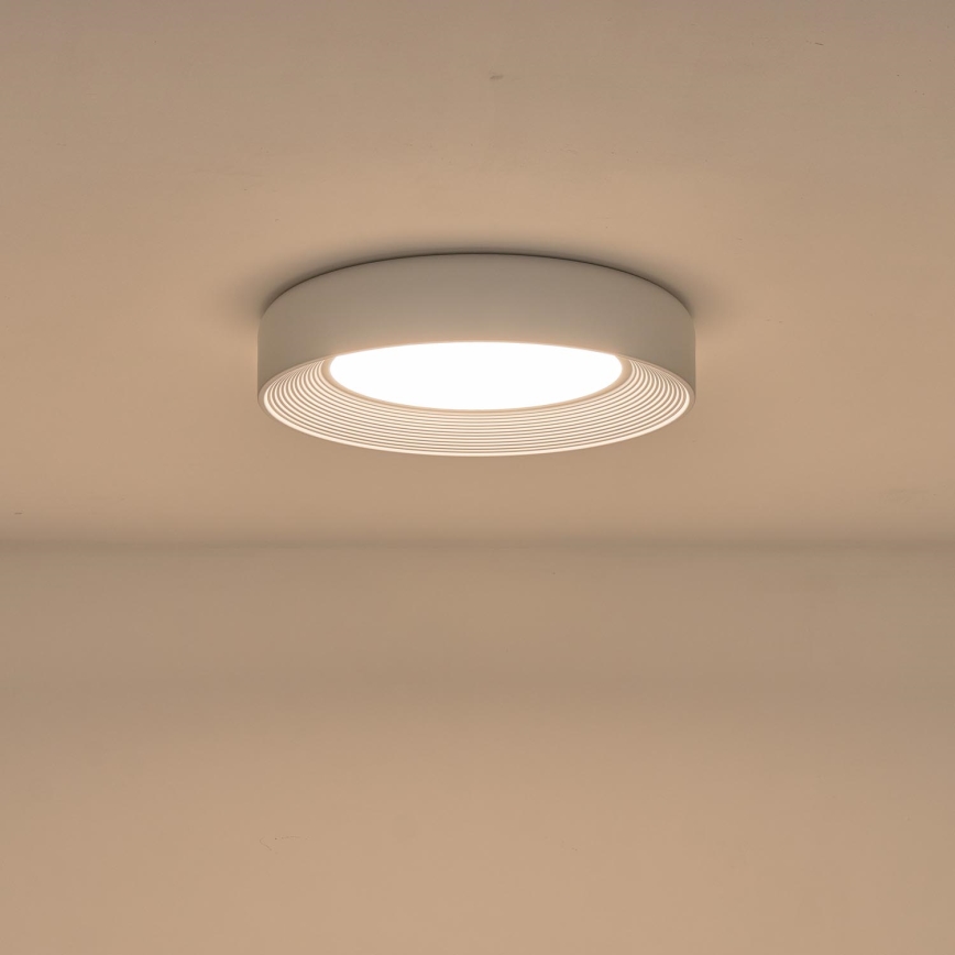 LED Plafonjera MOONLIGHT LED/40W/230V 3000K bela pr. 50 cm
